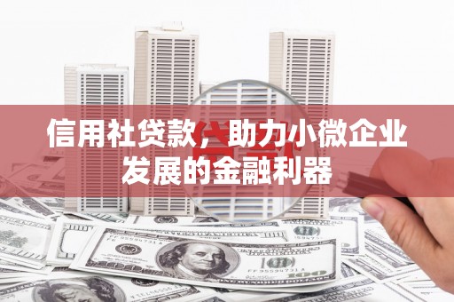 娄星信用社贷款，助力小微企业发展的金融利器