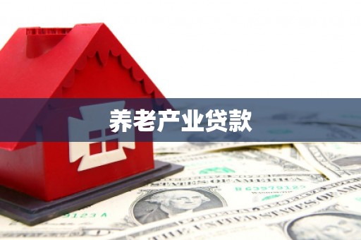 西和养老产业贷款