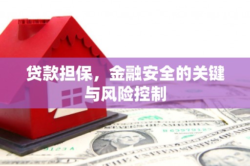 同仁贷款担保，金融安全的关键与风险控制