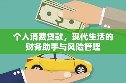龙州个人消费贷款，现代生活的财务助手与风险管理