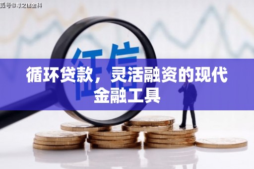 宁夏循环贷款，灵活融资的现代金融工具