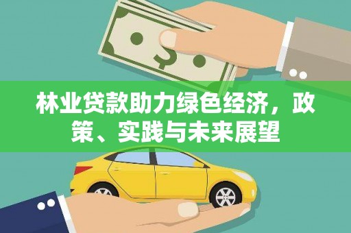 册亨林业贷款助力绿色经济，政策、实践与未来展望