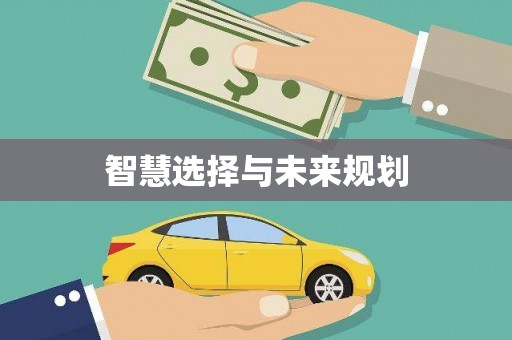 湖内智慧选择与未来规划