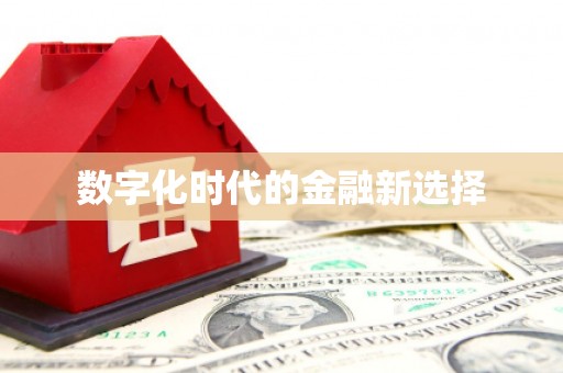 汝南数字化时代的金融新选择