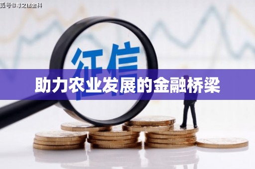 阿里助力农业发展的金融桥梁
