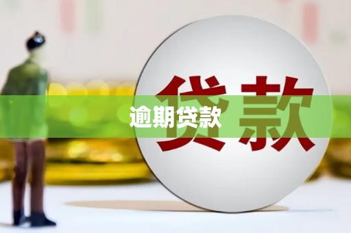 陵川逾期贷款