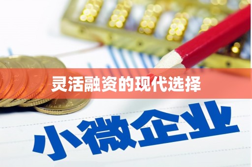陕西灵活融资的现代选择
