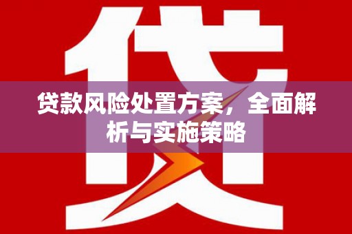 水林贷款风险处置方案，全面解析与实施策略