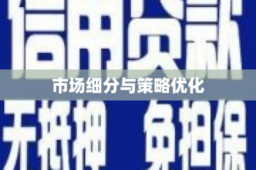 礼县市场细分与策略优化