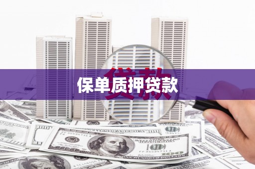 庄浪保单质押贷款