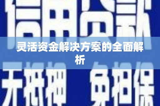 邵阳县灵活资金解决方案的全面解析