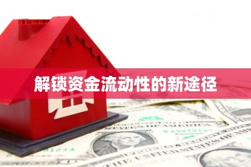 大宁解锁资金流动性的新途径